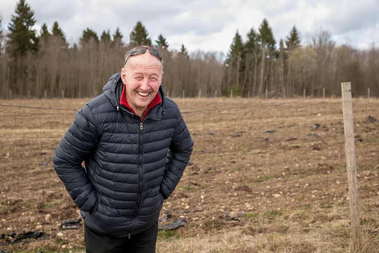Fotol marjakasvatusega tegeleva Raja talu peremees Gunnar Tärn maasikapõllu juures, mida uus elektriliin ületama oleks hakanud.