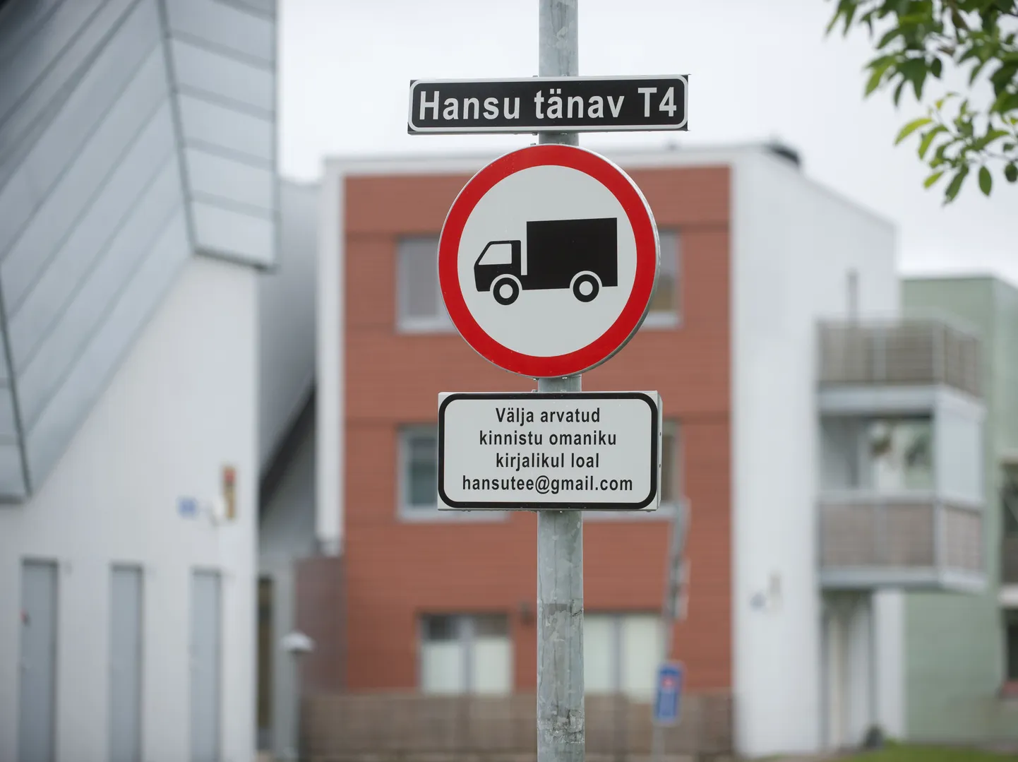 Oksjonilt Hansu tee ostnud ettevõte on tänaval korraldanud tasulise parkimise.
