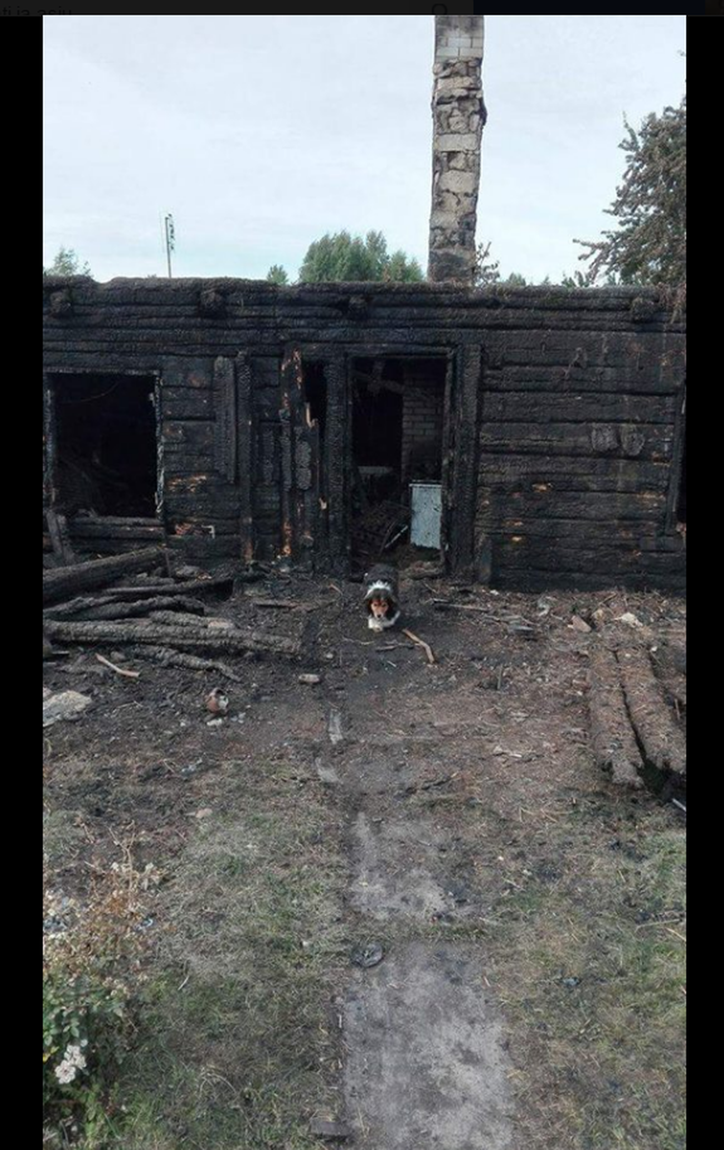 Pahapilli küla vanim elanik kaotas tules oma kodu, tema tütar jagab Facebookis üleskutset oma ema aidata. Pildil tulekahjus hävinenud maja.