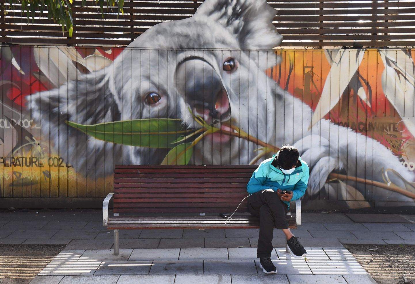 Koaalatüli on jõudnud ka Melbourne'i tänavakunstnike loomingusse.