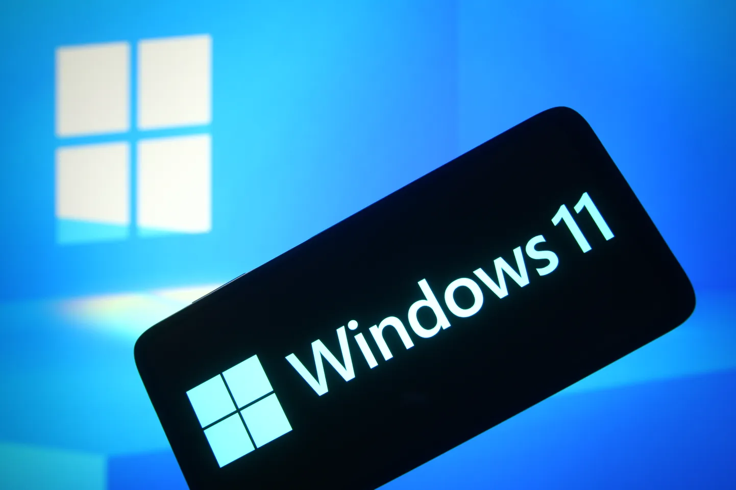 Windows 11