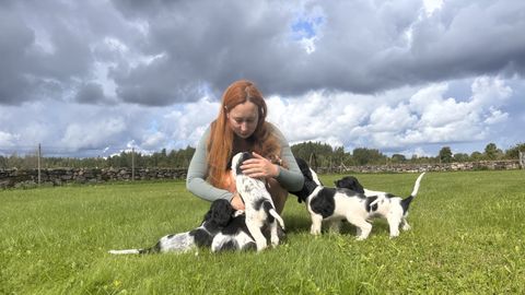 Liis Umberi kodus kasvab 15 kutsikat