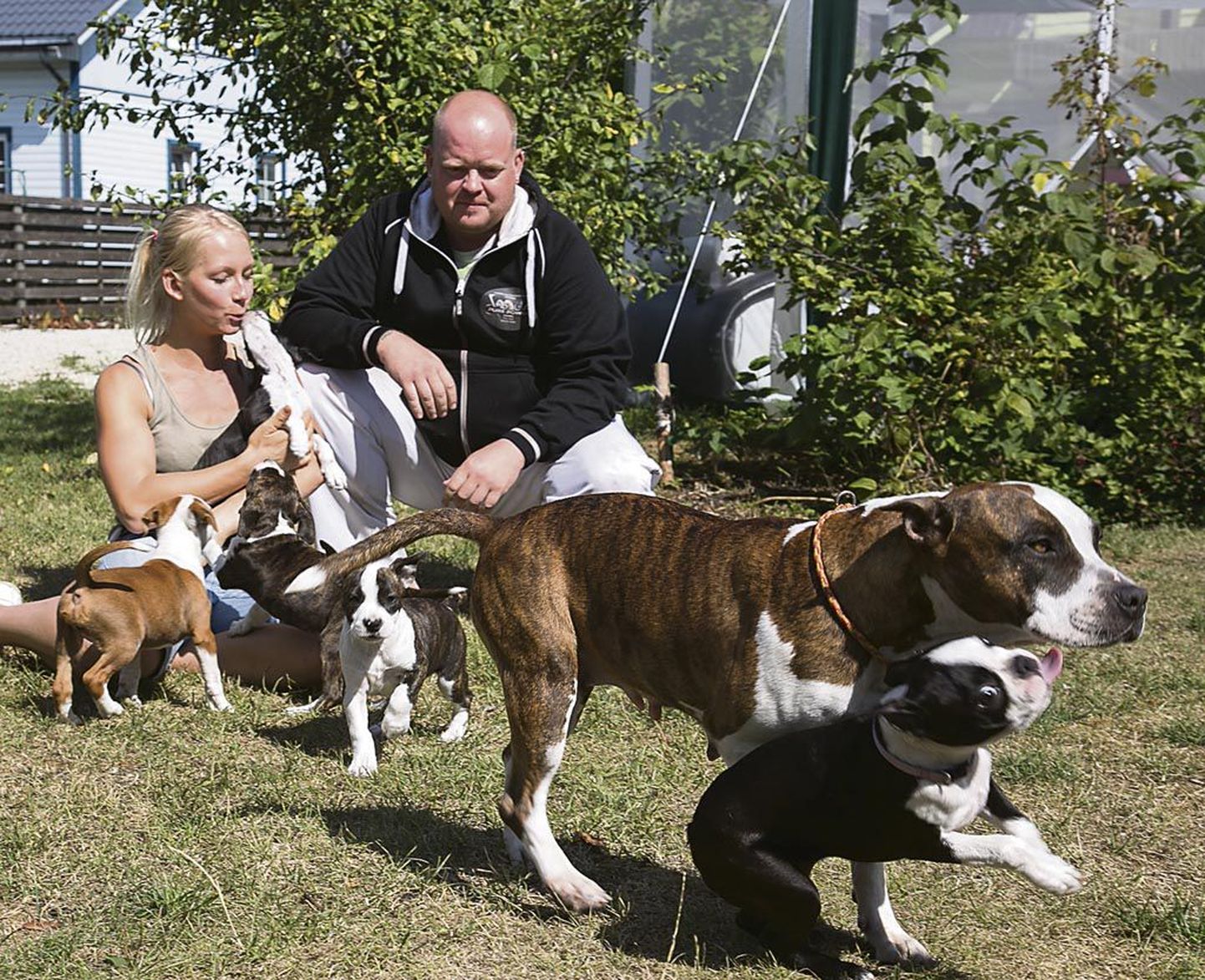 Jaana Aadamsoo ja Janne Kovaljeffi igapäevaelu on tihedalt koerte kasvatamise ja treenimisega seotud.
