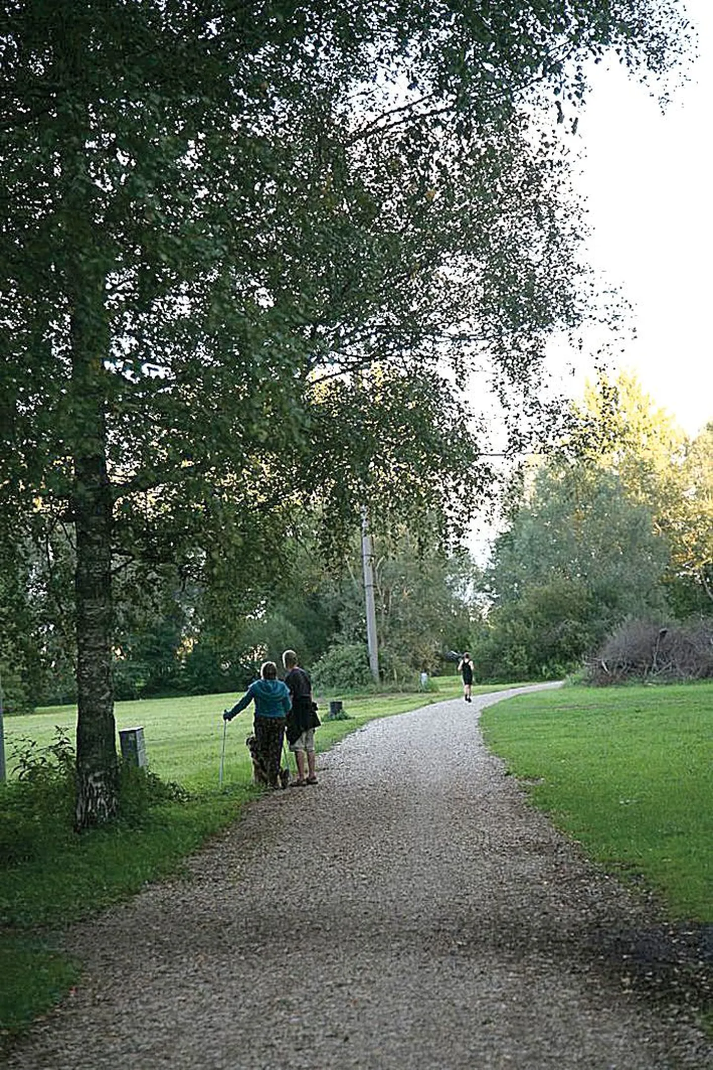Üks idee on aasta läbi kasutatava mitmeotstarbelise spordipargi rajamine dendroparki.