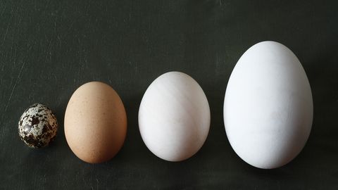 TESTS ⟩ Vai esi labs olu pazinējs?