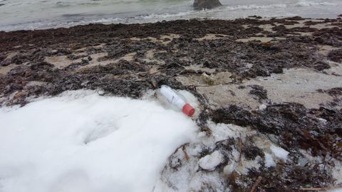 ЧТО ВНУТРИ? ⟩ На острове Вормси нашли бутылку с посланием! Сообщение ждало адресата 14 лет
