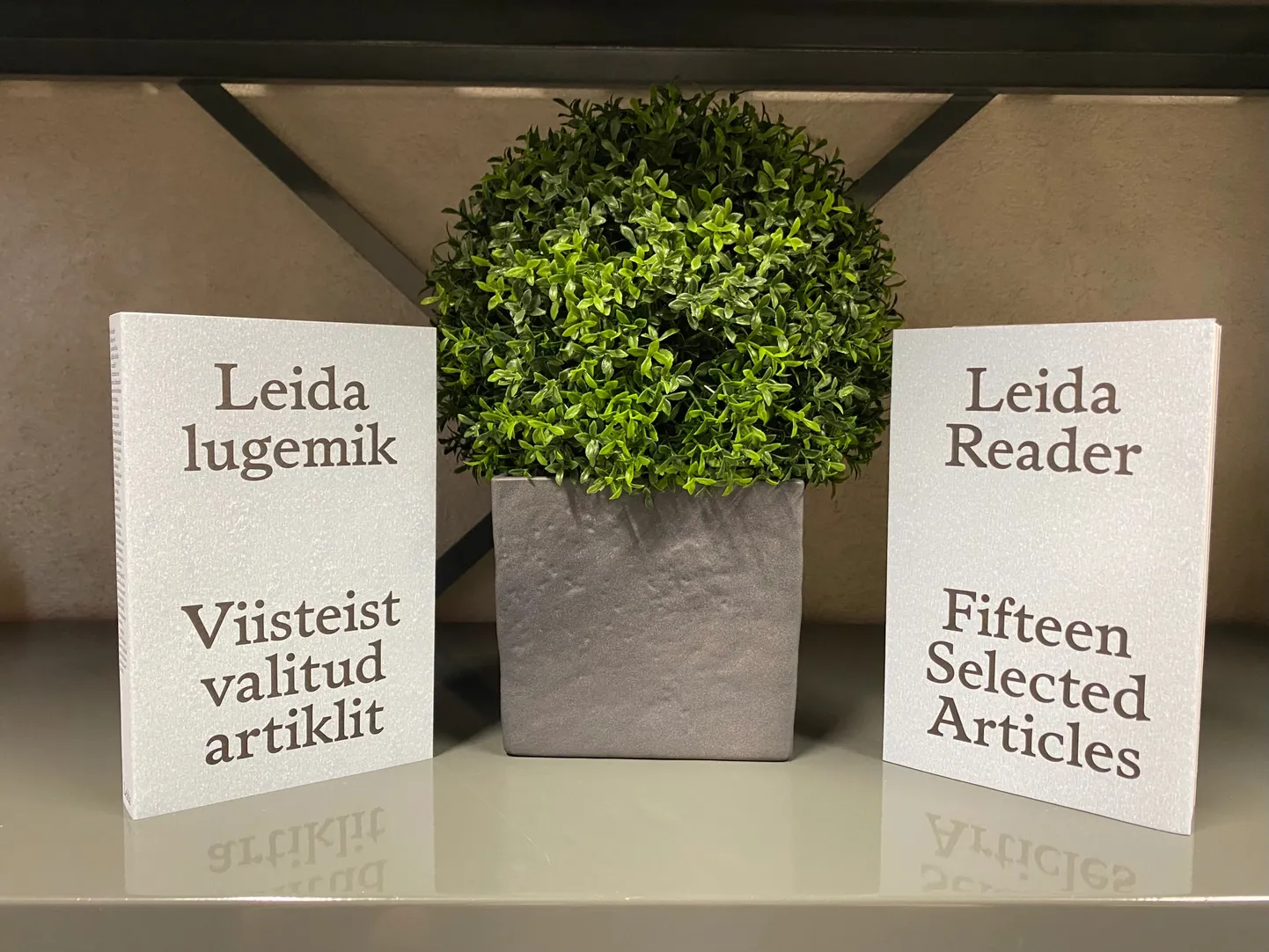 Raamat «Leida lugemik. Viisteist valitud artiklit».