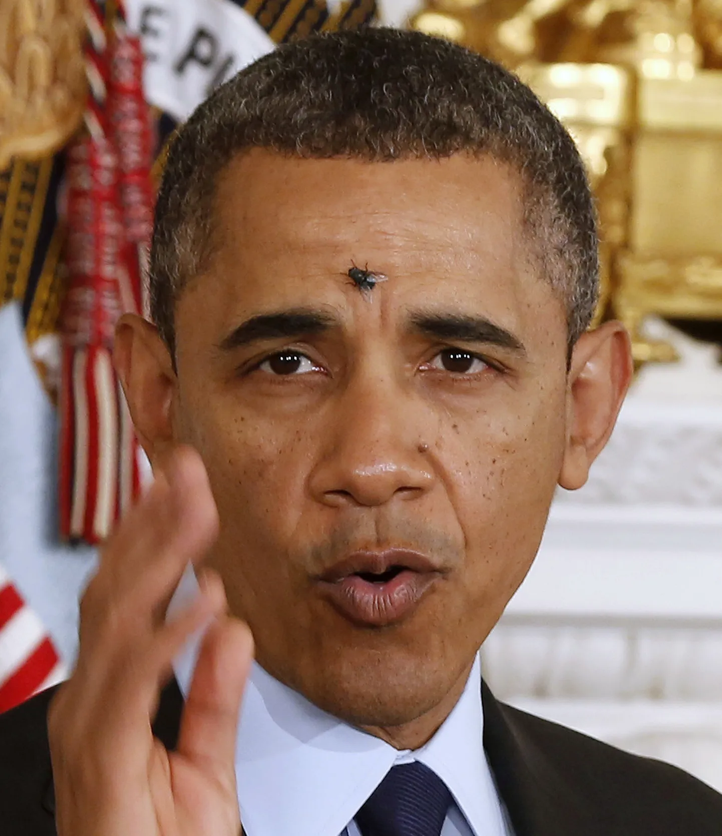 Barack Obama ja kärbes
