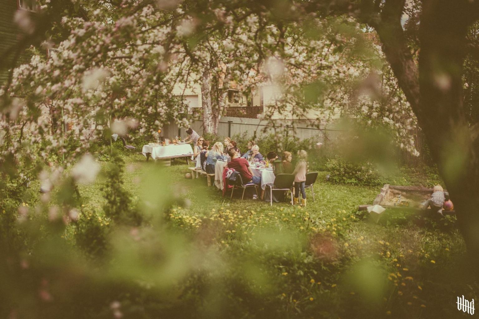 Näitus "Meie aedade lood" keskendub aedade ja inimese suhtele. Pildil on kodune õhtusöök Mäe tänava aias.