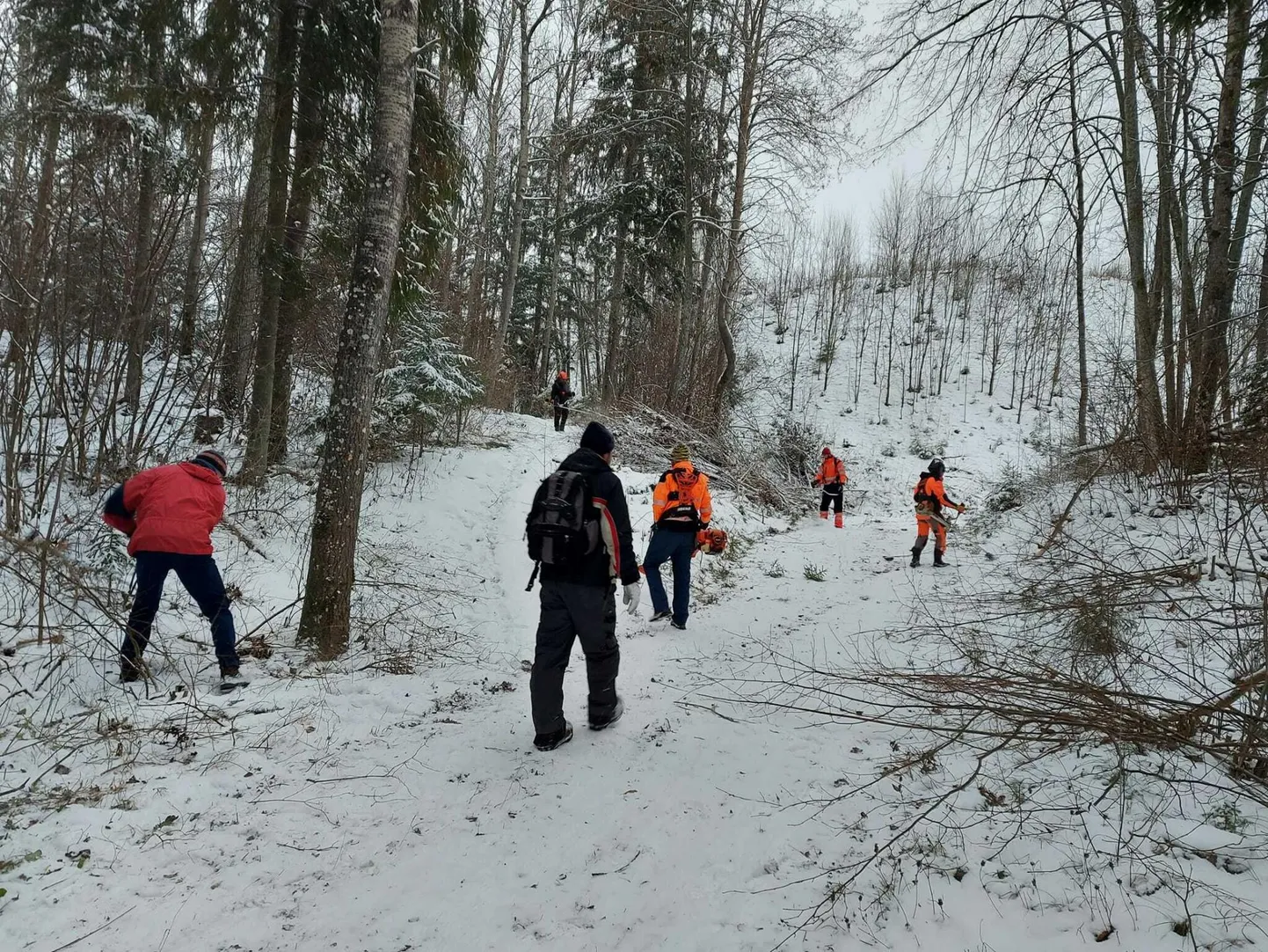 Kümmekond talispordientusiasti haarasid pühapäeval võsalõikurid ja labidad ning tegid Kõrgemäe raja talveks korda.