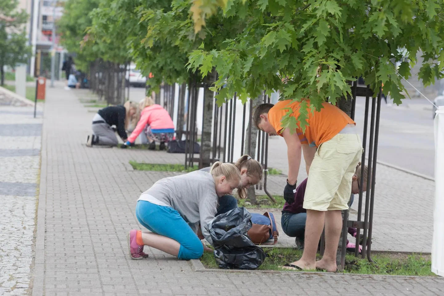 Löö kaasa: Rakvere linnamaleva noortega koos on võimalik taas kodulinn kaunimaks muuta.