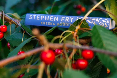 Stephen Fry «Kreeka müüdid».