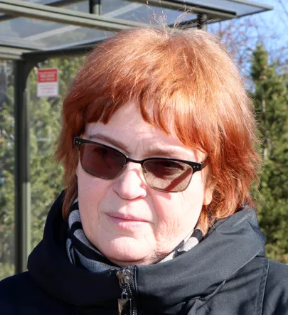 Artikli foto