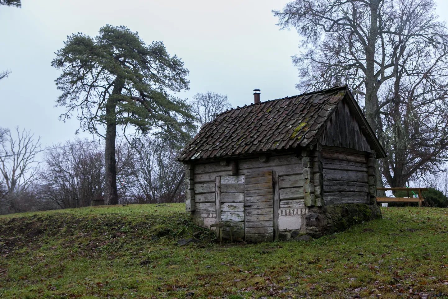 VILJANDI, EESTI, 22N0V13
Maaelu. Halliste.Suitsusaun.  Mait Mikelsaar elab Halliste kunagises arsti majas, mis hiljem kuulus kaitseliidule.
 ELMO RIIG/ SAKALA