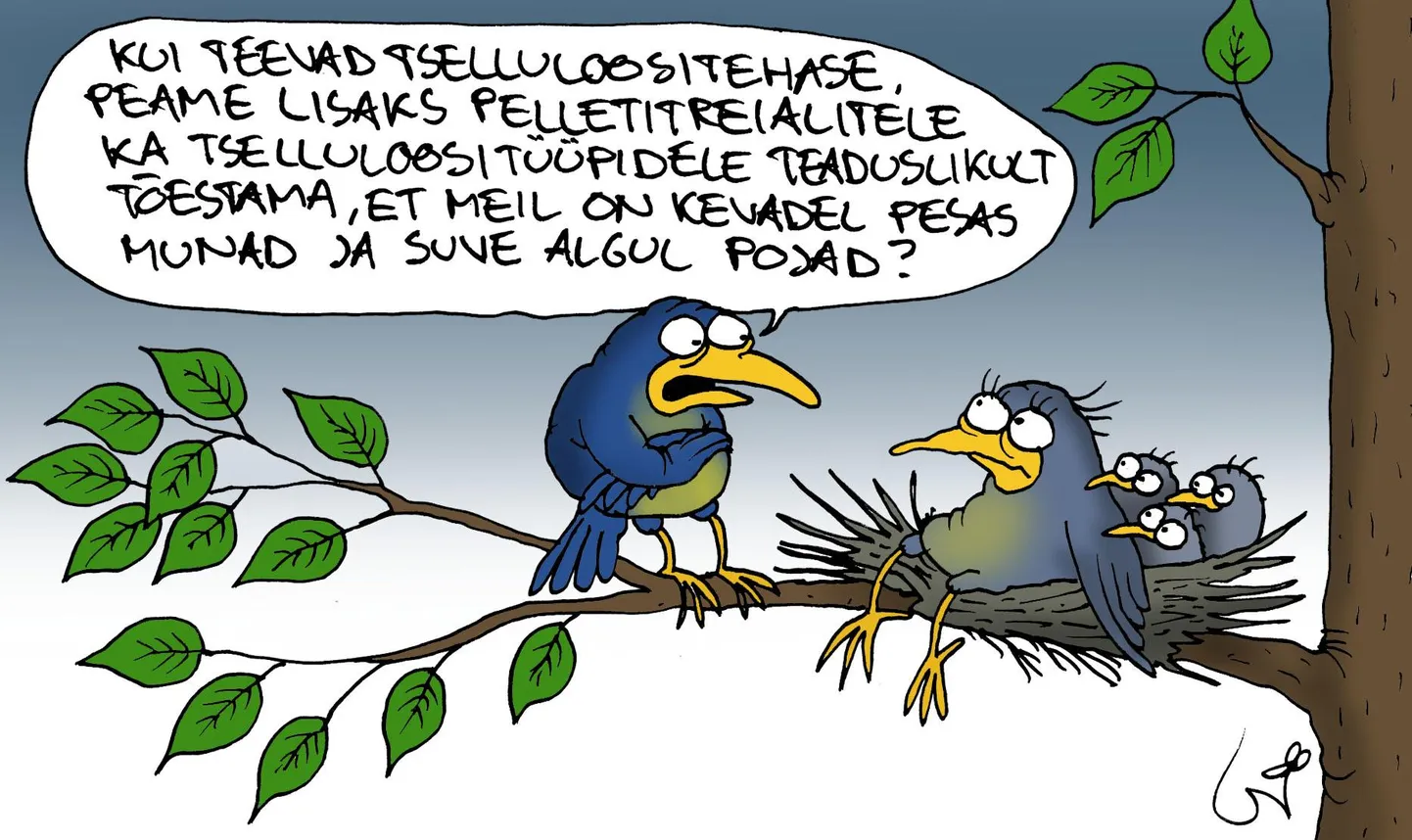 Urmas Nemvalts joonistab.
